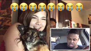 The Hodgetwins Funniest Drive Thru Moments  Reaction [upl. by Emmalyn]