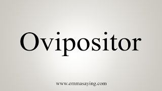 How To Say Ovipositor [upl. by Primalia]