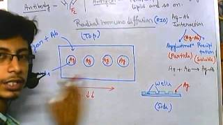 Radial immunodiffusion [upl. by Demott]