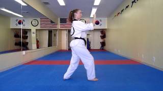 Taeguk Sah Jang  Core TaeKwonDo Purple Belt [upl. by Bein]