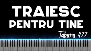 Traiesc pentru Tine Tabara 477 Instrumental Pian  Negativ Pian  Tutorial [upl. by Rennold]