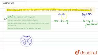The feature which is common to both heartwood and sapwood is  12  ANATOMY OF FLOWERING PLANTS [upl. by Dorn134]