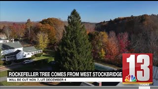 Rockefeller Center Christmas Tree to come from Berkshire County [upl. by Elocel]