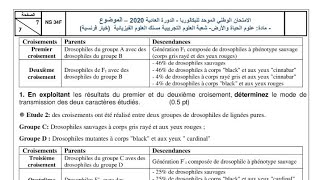 lois statistique dihybridisme courscorrectionbac2024 youtubeshorts youtube explore 2bac [upl. by Llenrep428]