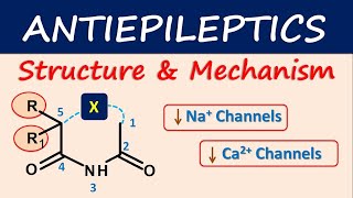 Antiepileptics Structure and mechanism [upl. by Alper]