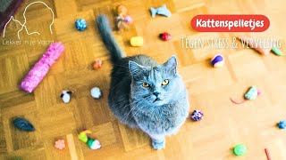 Katten spelletjes  zodat de kat zich niet verveelt [upl. by Gone]