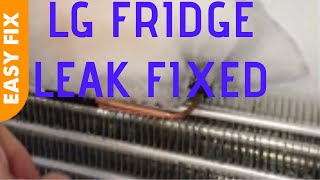 ✨ LG REFRIGERATOR LEAKING  EASY FIX ✨ [upl. by Netsryk]