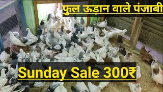 sbse bdi sale markit सहारनपुरी पजाबी कलसिरे 300पर [upl. by Virgil]