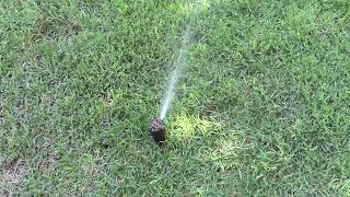 2009 Rain Bird Sprinkler System Testing For 2024 [upl. by Bohannon262]