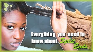 Everything you need to know about SPLIT ENDS [upl. by Accisej942]