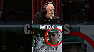 US Army VS Mexican Cartels Who Wins  JRE Podcast w John Mcphee 🇺🇸 army cartel podcast [upl. by Nollie]