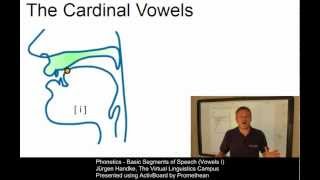 PHO107  Basic Segments of Speech Vowels I [upl. by Lletnwahs]