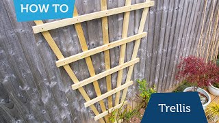 How to make trellis for climbing plants [upl. by Sidoeht]