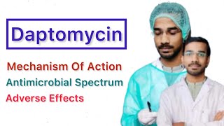 Daptomycin  Mechanisms of action  Antimicrobial spectrum  Adverse Effects [upl. by Akialam]