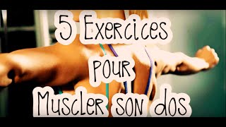 Comment Muscler son dos 5 exercices avec French FeelinFit [upl. by Gnem]