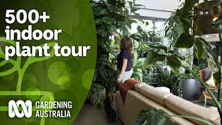 Huge 500 indoor plant collection tour and plant care tips  Indoor plants  Gardening Australia [upl. by Enajaras]