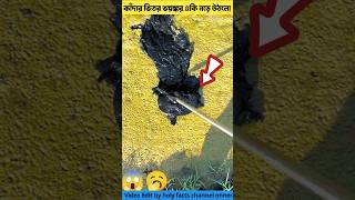 কাঁদার ভিতর একি নড়ে উঠলো 🥱tortoise tools item amp amazing fact youtubeshorts shorts [upl. by Sakovich]