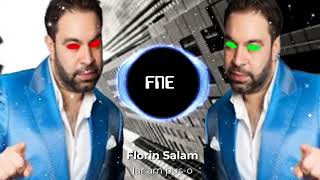 Florin Salam  Iar am puso DUBSTEP REMIXby fne [upl. by Iveson]