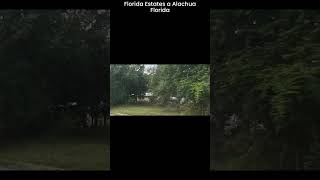 Florida Estates a Alachua FL 2024 [upl. by Nivle]