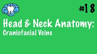 Head amp Neck Anatomy  Craniofacial Veins  INBDE [upl. by Paget]