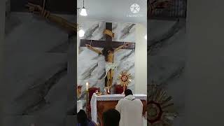 Diante de Jesus Sacramentado [upl. by Benedikta]