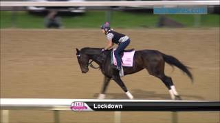 Lockdown 2017 Kentucky Oaks Hopeful 429 [upl. by Sundstrom]