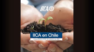 Principales acciones IICA Chile 1er Semestre 2024 [upl. by Lyle]