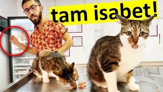 TAM 12DEN AŞI YAPTIM günlük vlog [upl. by Nywloc]