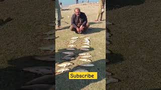 Khan pur dam Big fish hunting bestfishingtechniques [upl. by Ydnam]