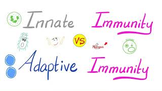 Innate Immunity vs Adaptive Immunity  Complement System  Physiology Lectures Series [upl. by Naoj686]