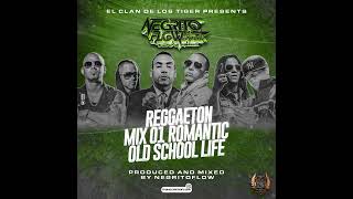 REGGAETON MIX 01 ROMANTIC OLD SCHOOL LIFE DIRTY  NEGRITOFLOW [upl. by Maxie268]