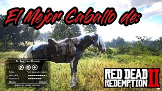 COMO CONSEGUIR EL CABALLO FOX TROTTER DE MISOURI CON ARTHUR MORGAN [upl. by Ennaid]