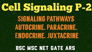 CELL SIGNALING PART 2  AUTOCRINE PARACRINE ENDOCRINE AND JUXTRACRINE PATHWAYS [upl. by Seek234]