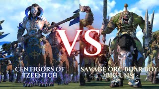 WARHAMMER III Total War  Centigors of Tzeentch VS Savage Orc Boar Boy BigUns [upl. by Nerol685]