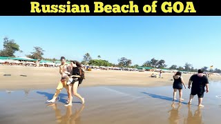 Russian Beach of GOA  Arambol Beach  Morjim Beach  Foreigners Beach  Russian Beach Market [upl. by Gerk]