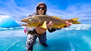 Insane Brown Trout Fishing in Hidden Valley [upl. by Daniyal]