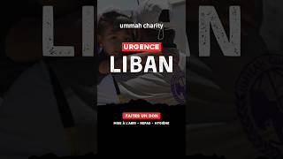 🚨Urgence Liban 🚨humanitaire [upl. by Mccutcheon]