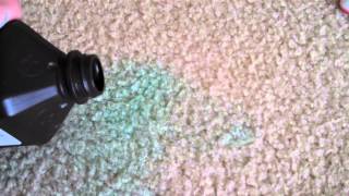 Set in Stain on Carpet how to get rid of it [upl. by Leesa]