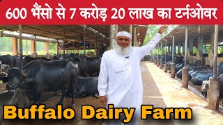 बड़ा भाई 28 साल सऊदी में कामकर 600 भैंसो का Farm बनाया छोटे भाइयों के लिए  Big Buffalo Dairy Farm [upl. by Adnac]