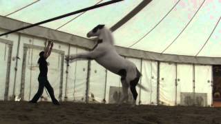 Cavalia  Arrives in St Louis MO [upl. by Shuping]