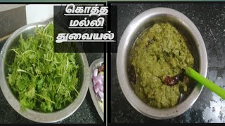 கொத்தமல்லி துவையல் எப்படி செய்வது kothamalli thogayal in Tamil [upl. by Addison736]