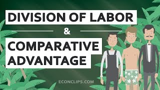 👨‍🌾👨‍🍳👨‍⚕️ Division of Labor and Comparative Advantage  Free Trade [upl. by Uuge]