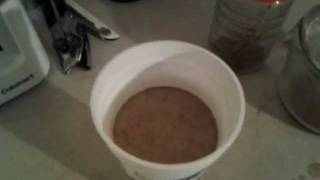 How to make a really strong cup of kava [upl. by Vito]