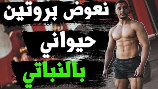 واش تقدر تعوض بروتين حيواني بالنباتي للرخيص في النظام ديالك لربح عضلي مهم [upl. by Portland]