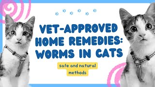 Home Remedies for Worms in Cats [upl. by Love]