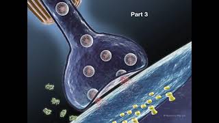 Chronic Stress amp Brain Body System implosion  Part 3 [upl. by Aicirtal613]