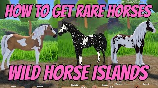 Should I do this trade IMPORTANT Wild horse islands Roblox [upl. by Dorina42]