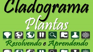 Cladograma e Plantas Teoria e Resolução [upl. by Harmony]