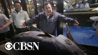 Bluefin tuna sells for a record 31M in Tokyo auction [upl. by Biddie413]