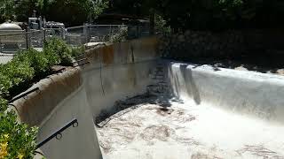 Polar Bear Former Habitat LA Zoo Los Angeles California USA August 25 2023 Summer Heatwave [upl. by Samale]